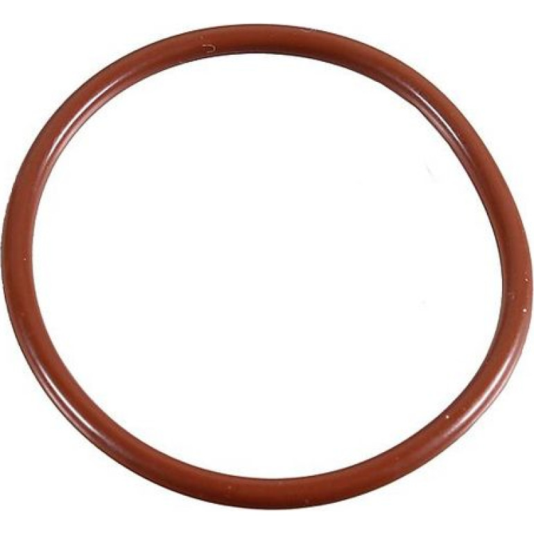 Dichtring 2430060