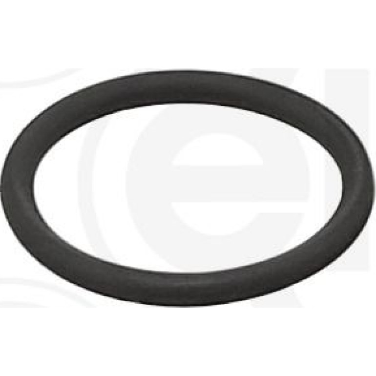 Dichtring 485.950
