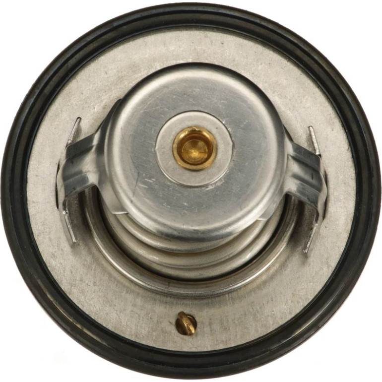 Thermostat, Kühlmittel TH52790G1