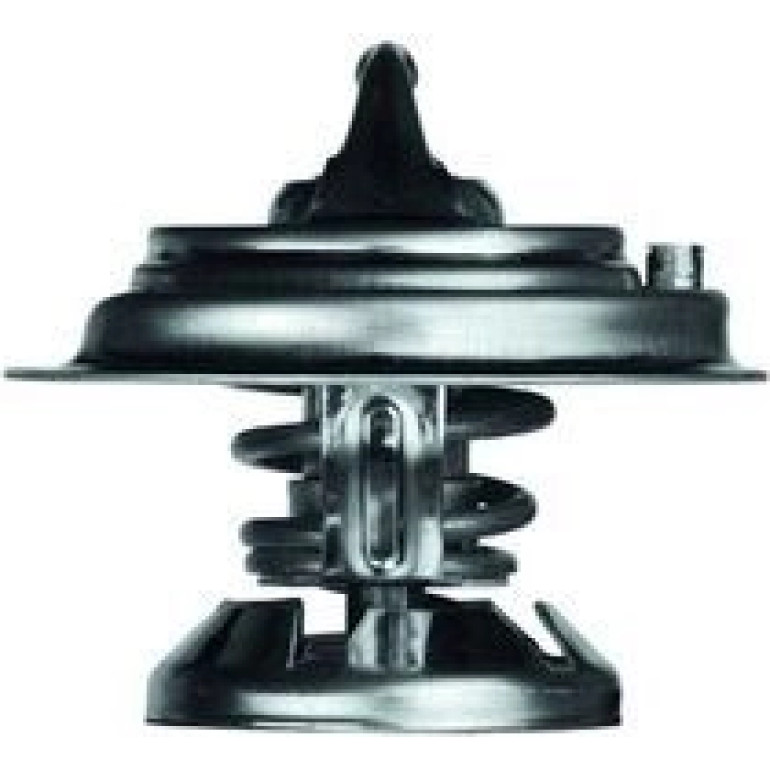 Thermostat, Kühlmittel TX 29 80D