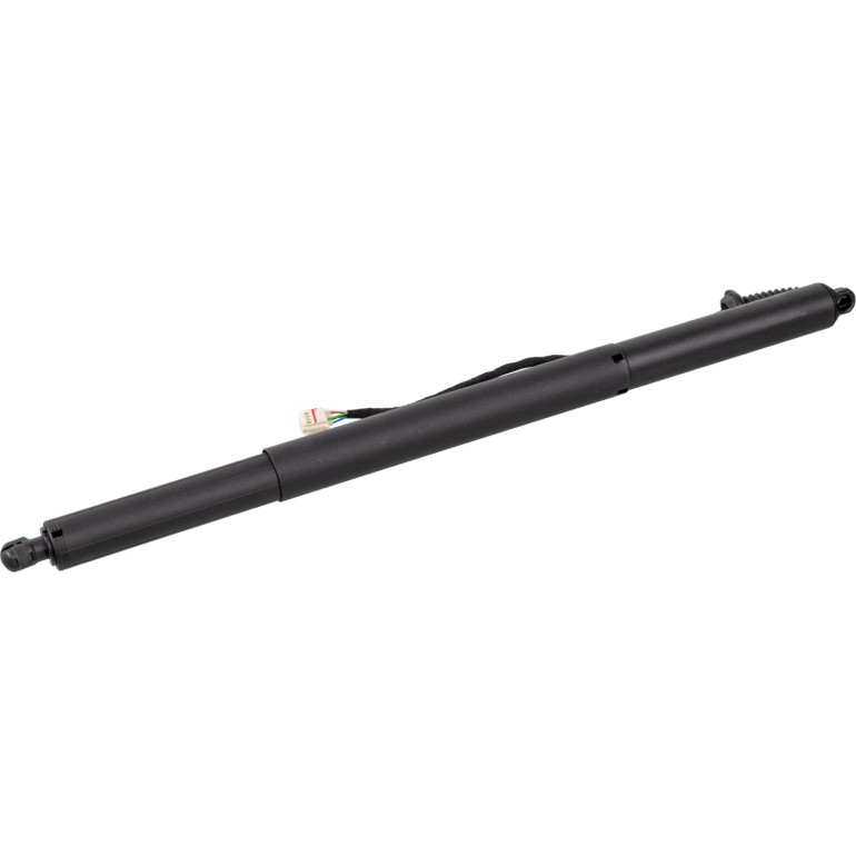 FEBI BILSTEIN 179318 Gasfeder, Koffer-/Laderaum