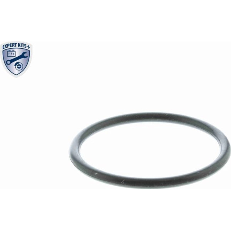Thermostat, Kühlmittel V95-99-0006