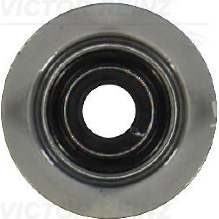 Dichtring, Ventilschaft 70-35549-00 Dichtring, Ventilschaft 70-35549-00