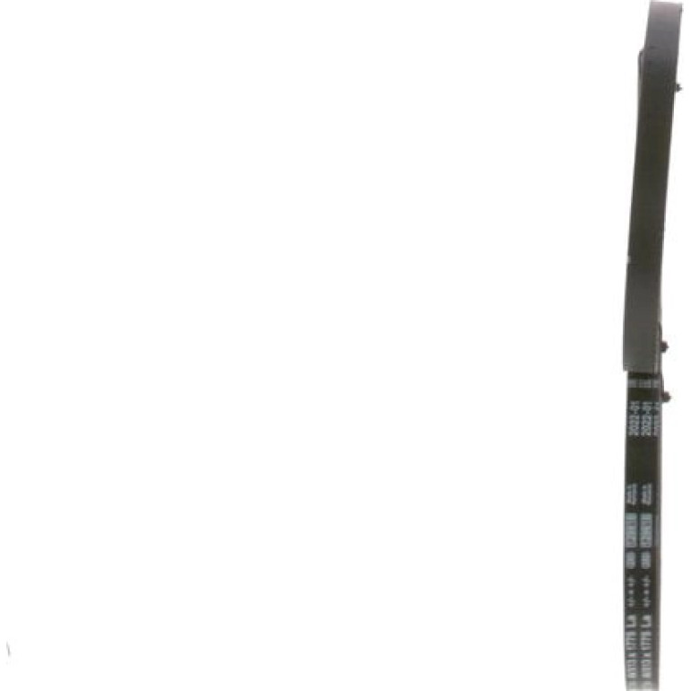 Keilriemen 1 987 947 754