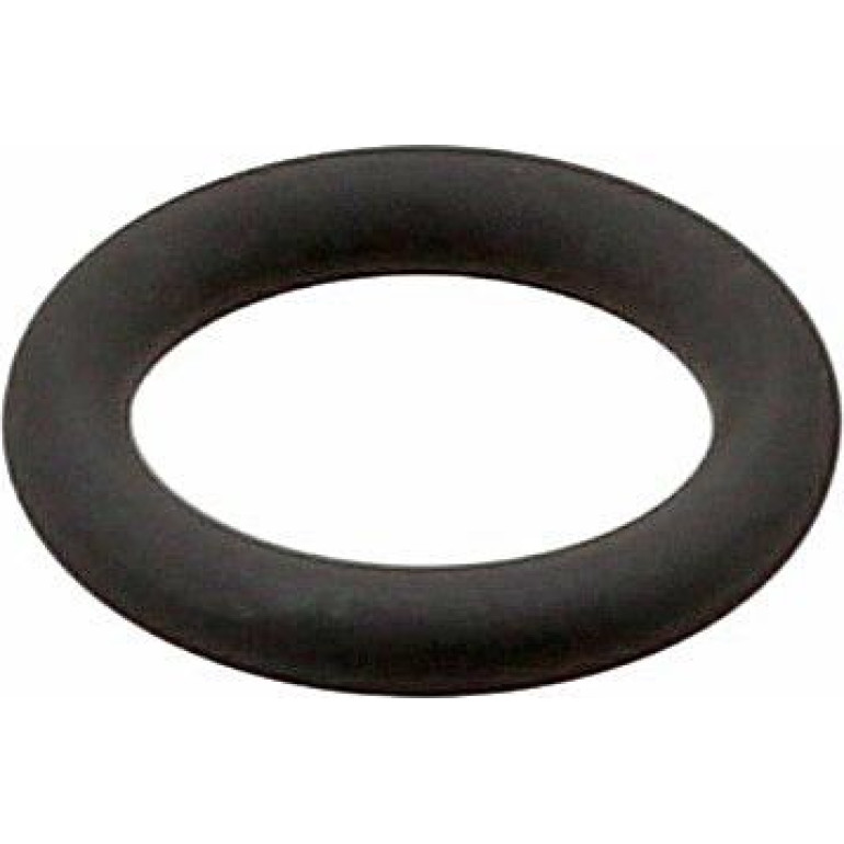 Dichtring 509.750 Dichtring 509.750