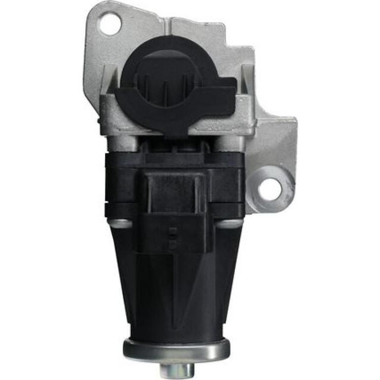 AGR-Ventil 703204 AGR-Ventil 703204