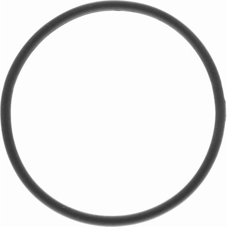 Kraftstofffilter V10-0499