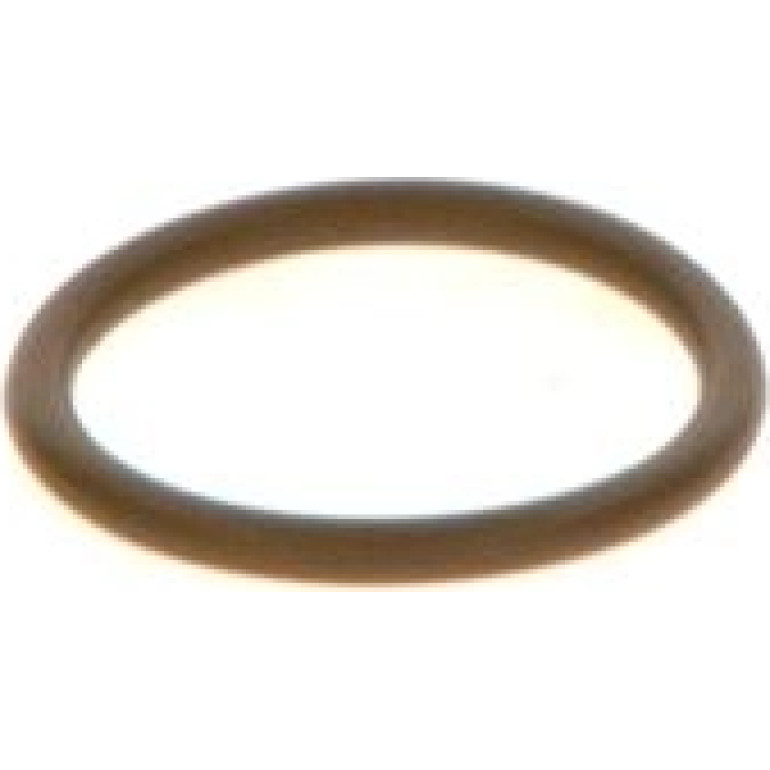 Dichtring F 00V C38 044