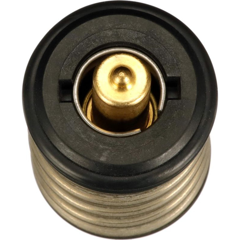 Thermostat, Kühlmittel TH63497G1