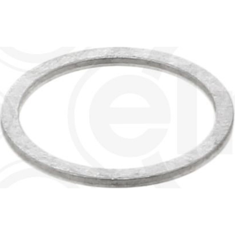 Dichtring 250.007
