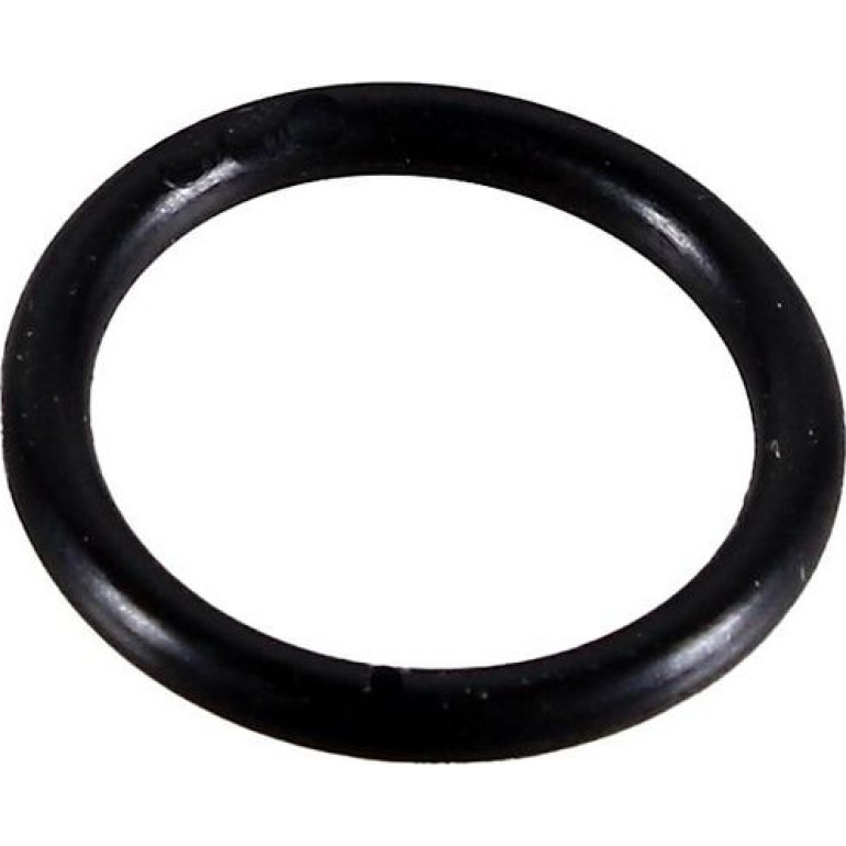 Dichtring 2430022 Dichtring 2430022