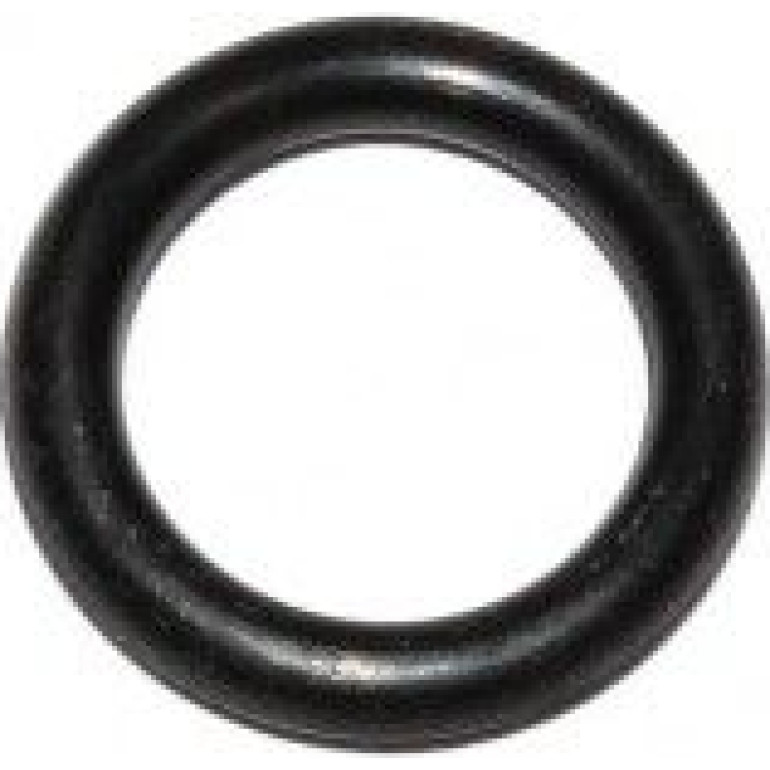 Dichtring 789.710 Dichtring 789.710