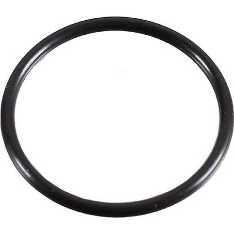 Dichtring 2430048 Dichtring 2430048