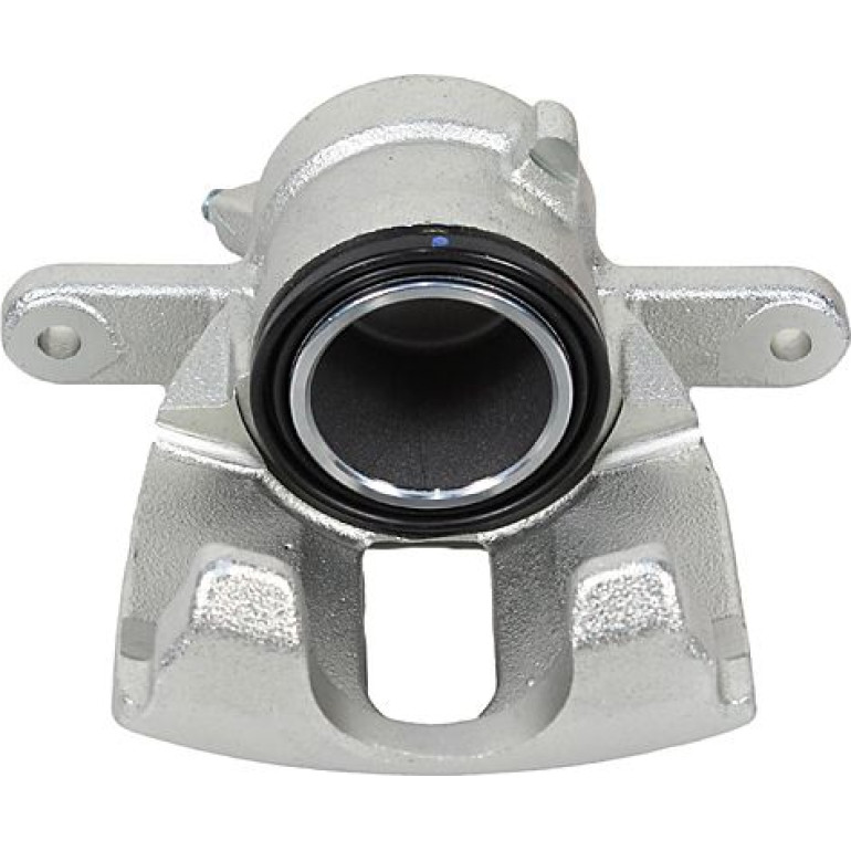 Bremssattel 6260091