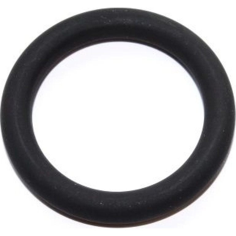 Dichtring 003.360