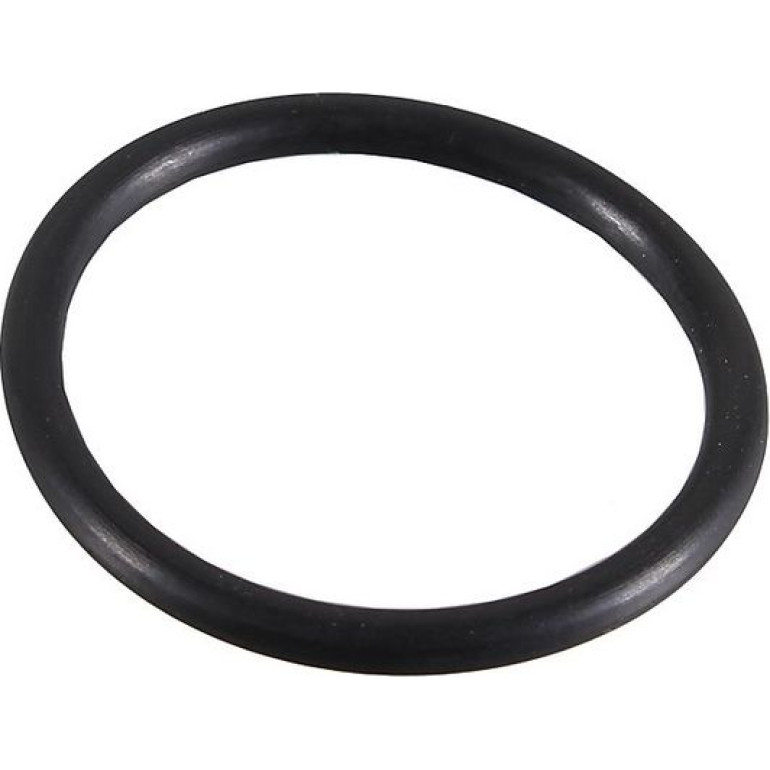 Dichtring 2430032 Dichtring 2430032