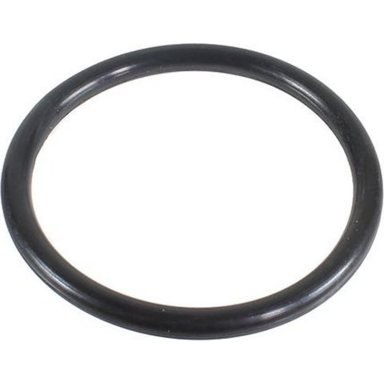 Dichtring 2430113 Dichtring 2430113