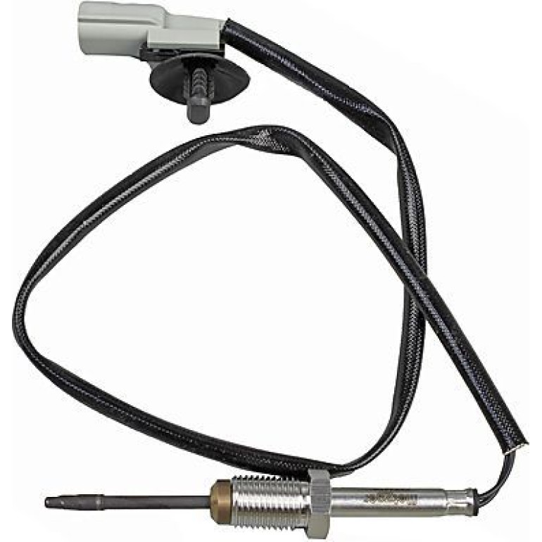 Sensor, Abgastemperatur 0894825