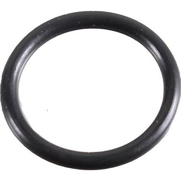 Dichtring 2430039 Dichtring 2430039