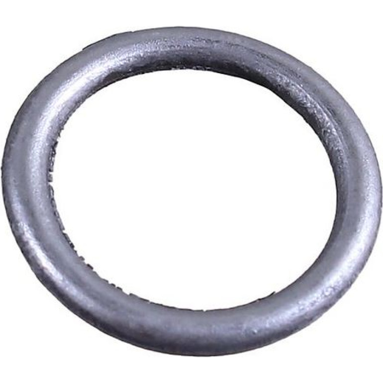 Dichtring 2430051