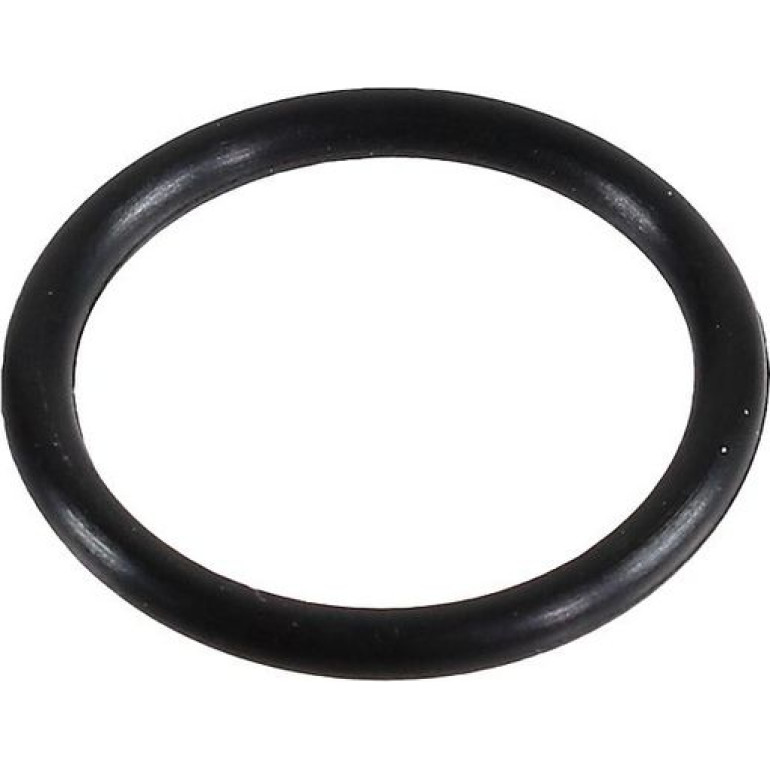 Dichtring 2430001 Dichtring 2430001