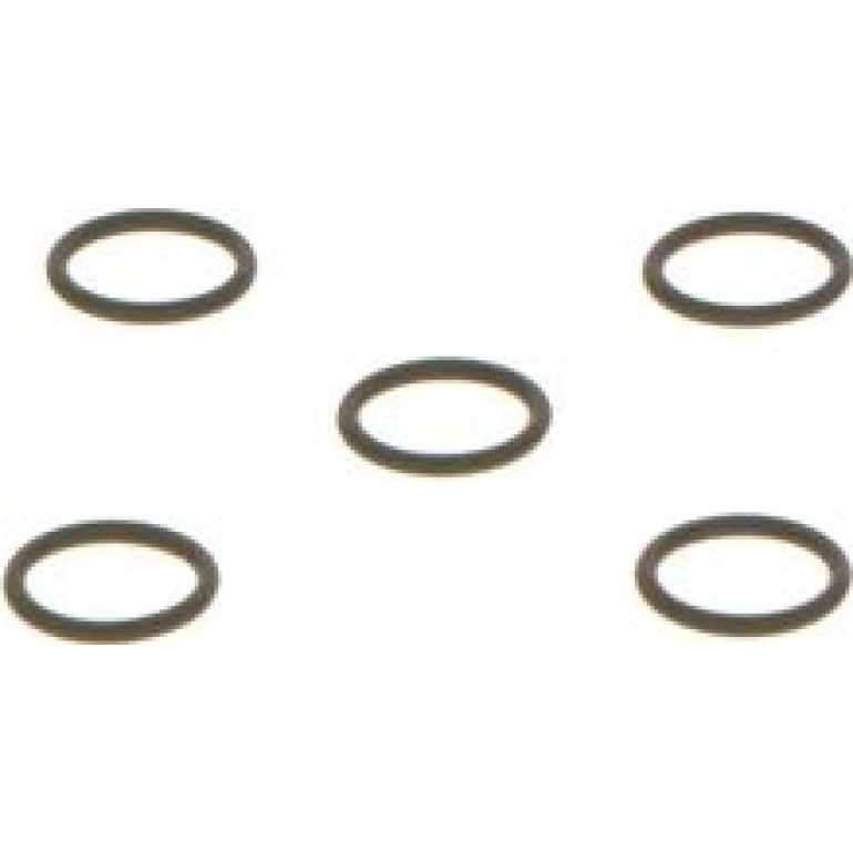 Dichtring 1 420 210 022
