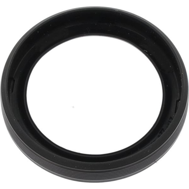 Dichtring 20030493B