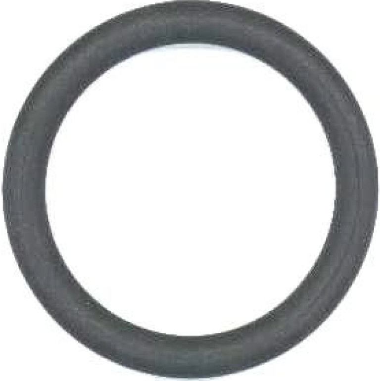 Dichtring, Lader 249.220