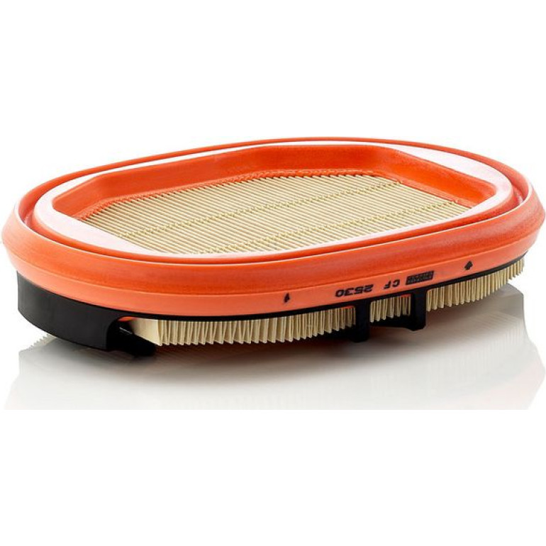 Sekundärluftfilter CF 2530