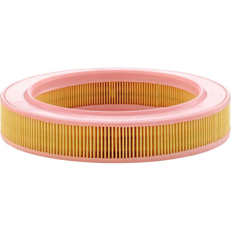 Luftfilter C 2540