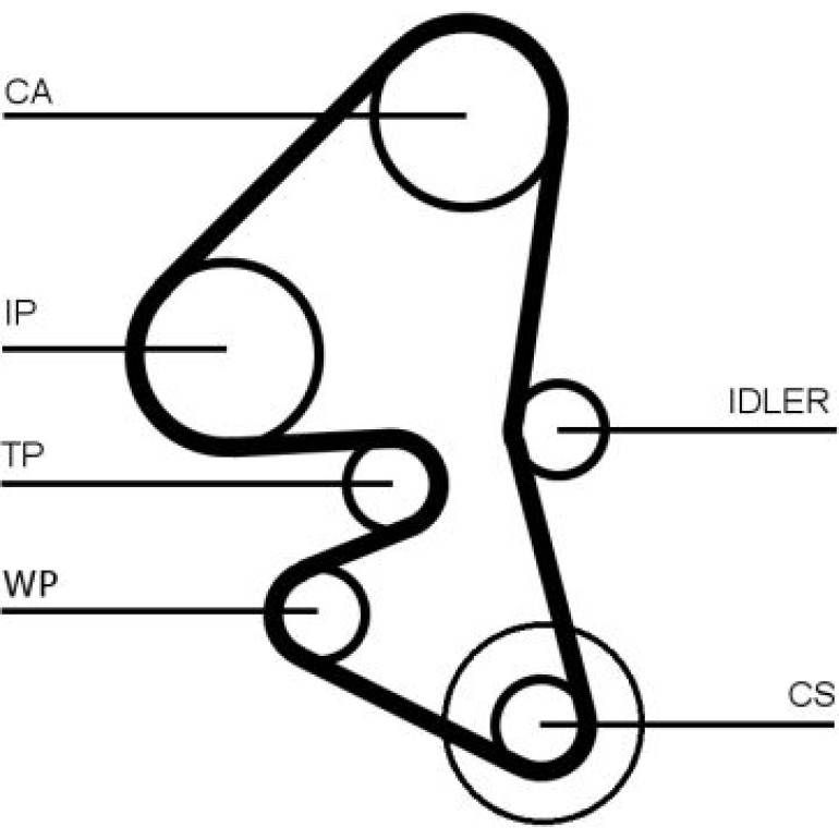 Wasserpumpe + Zahnriemensatz CT1203WP1 Wasserpumpe + Zahnriemensatz CT1203WP1