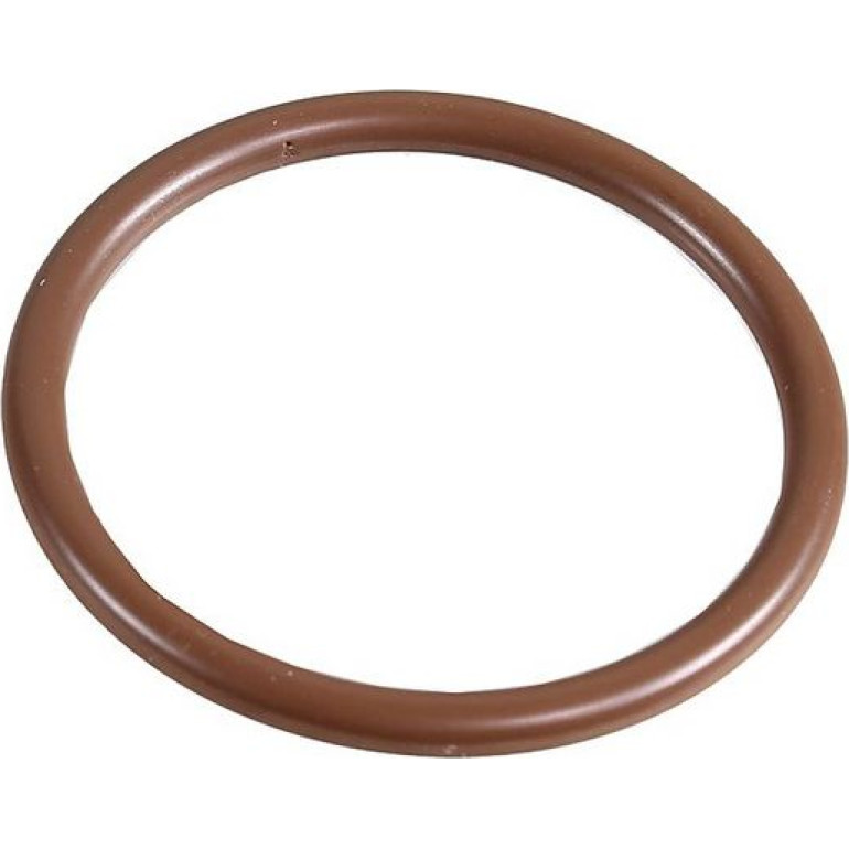 Dichtring 2430018