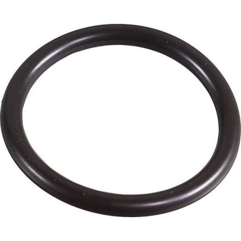 Dichtring 2430109 Dichtring 2430109