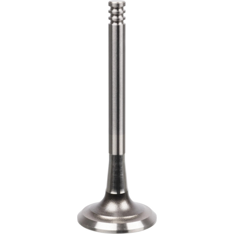 FEBI BILSTEIN 21042 Auslassventil