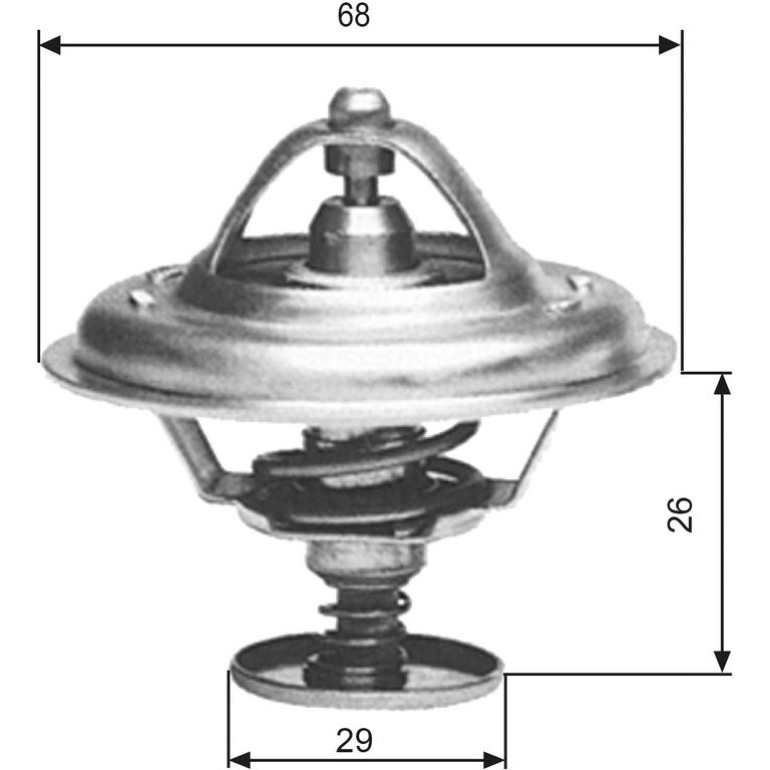 Thermostat, Kühlmittel TH09781G1