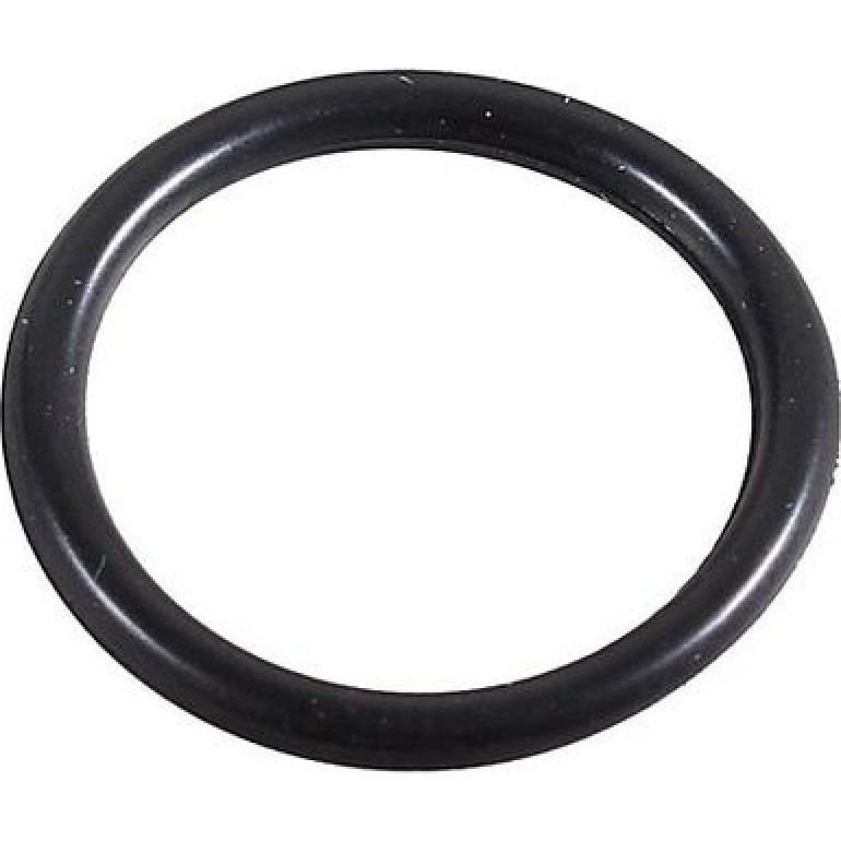 Dichtring 2430070 Dichtring 2430070