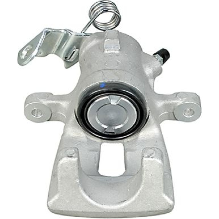 Bremssattel 6260019