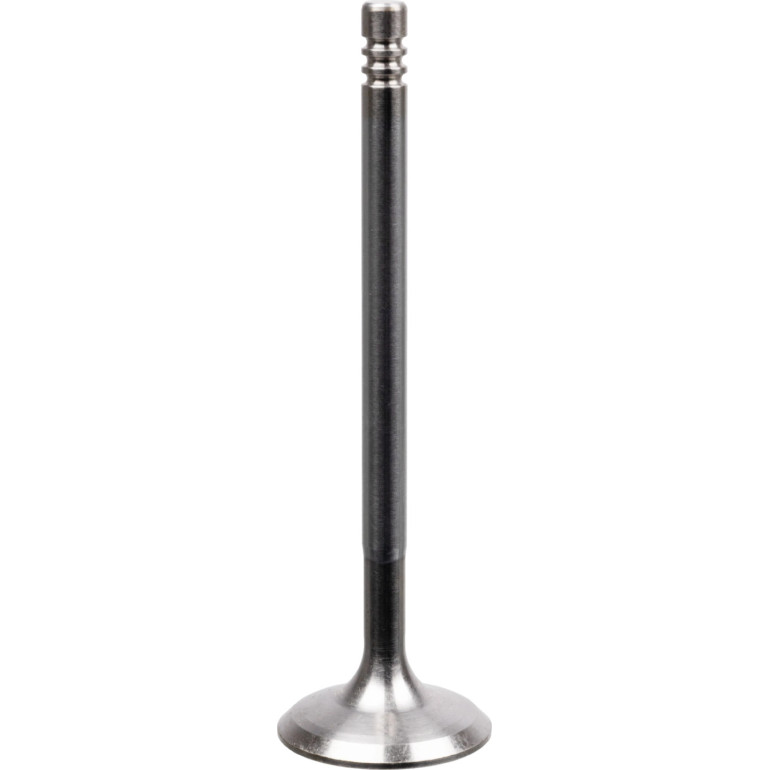 FEBI BILSTEIN 22060 Einlassventil