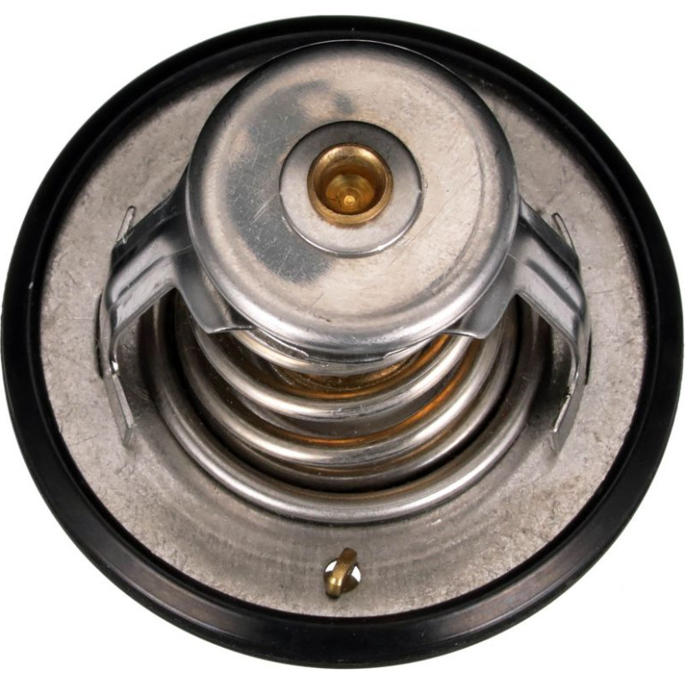Thermostat, Kühlmittel TH56189G1