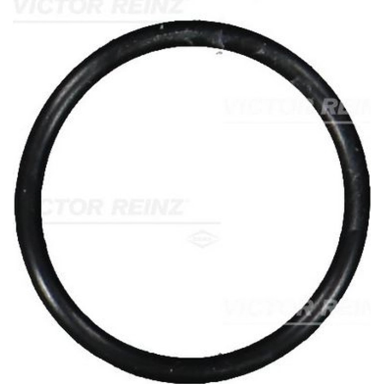 Dichtring 40-76101-00