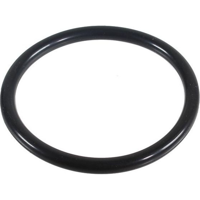 Dichtring, Lader 2430128 Dichtring, Lader 2430128