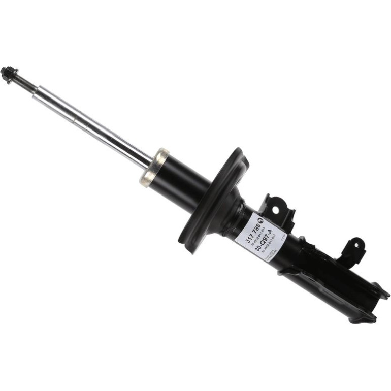 Stoßdämpfer 317 788