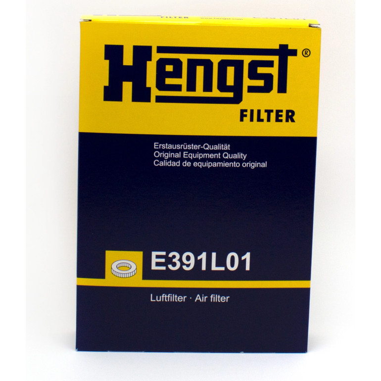 Luftfilter E391L01