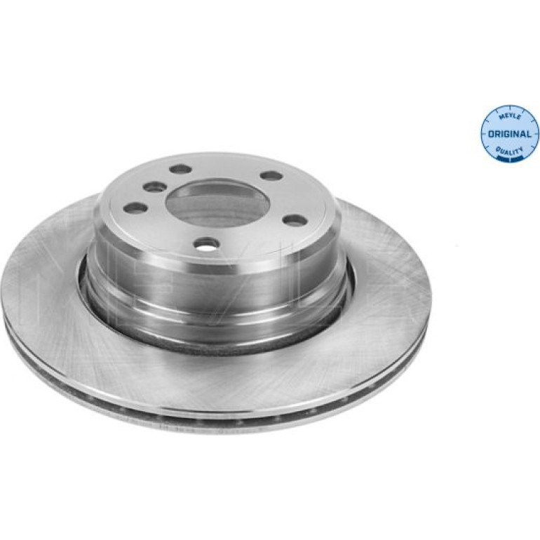 Bremsscheibe 315 523 0055