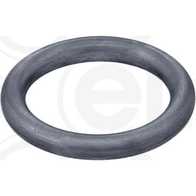 Dichtring 569.390