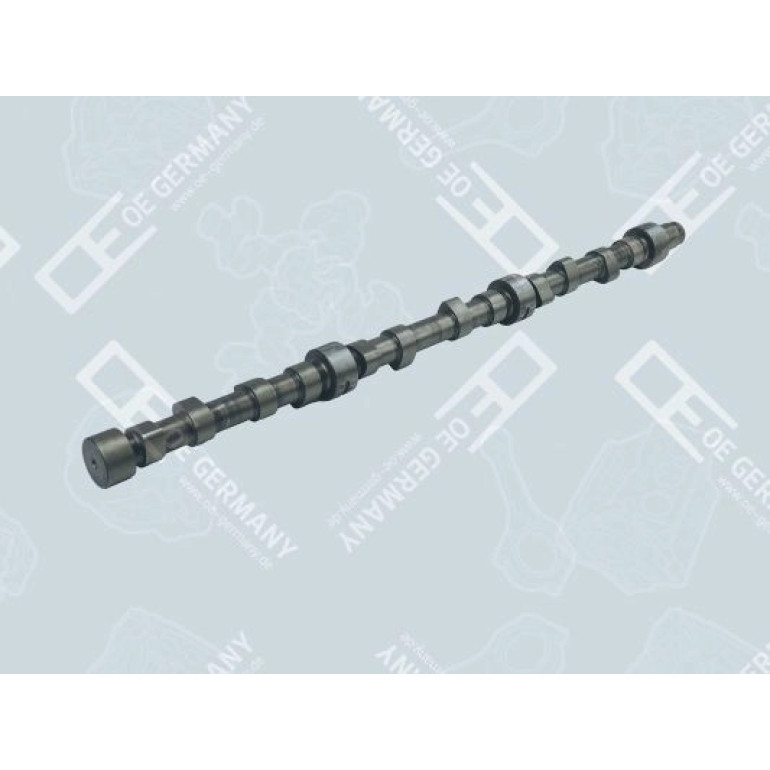 Nockenwelle für Scania D 11 DS 11 DSC 11 325 646 OEGERMANY 050500110000