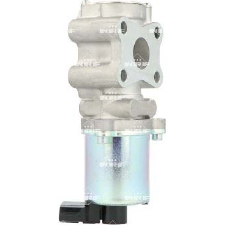 AGR-Ventil 48655 AGR-Ventil 48655