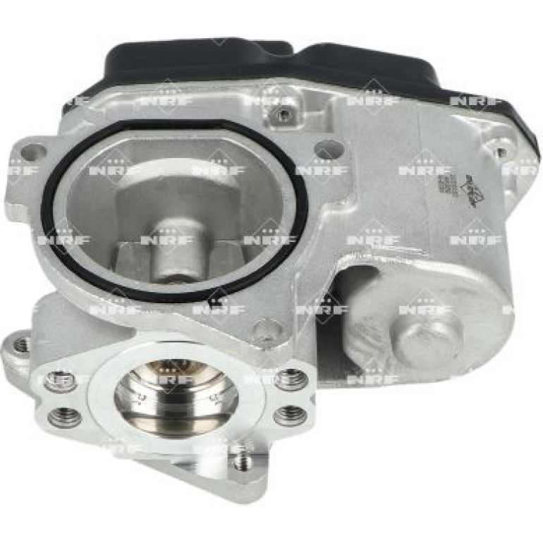 AGR-Ventil 48389 AGR-Ventil 48389