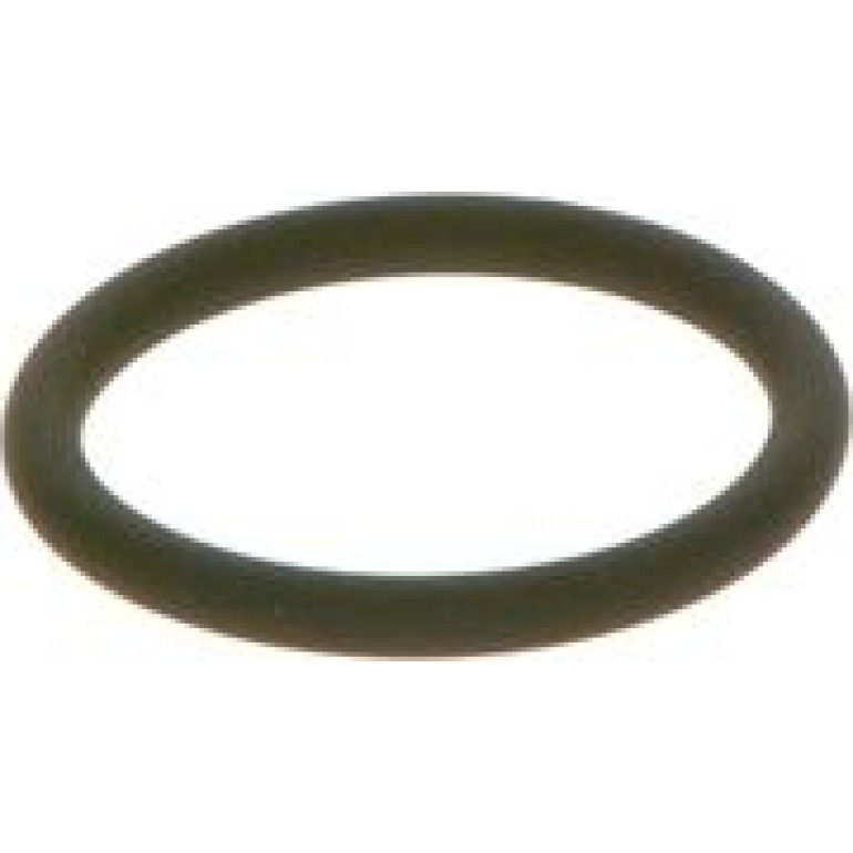 Dichtring F 00R J00 534 Dichtring F 00R J00 534