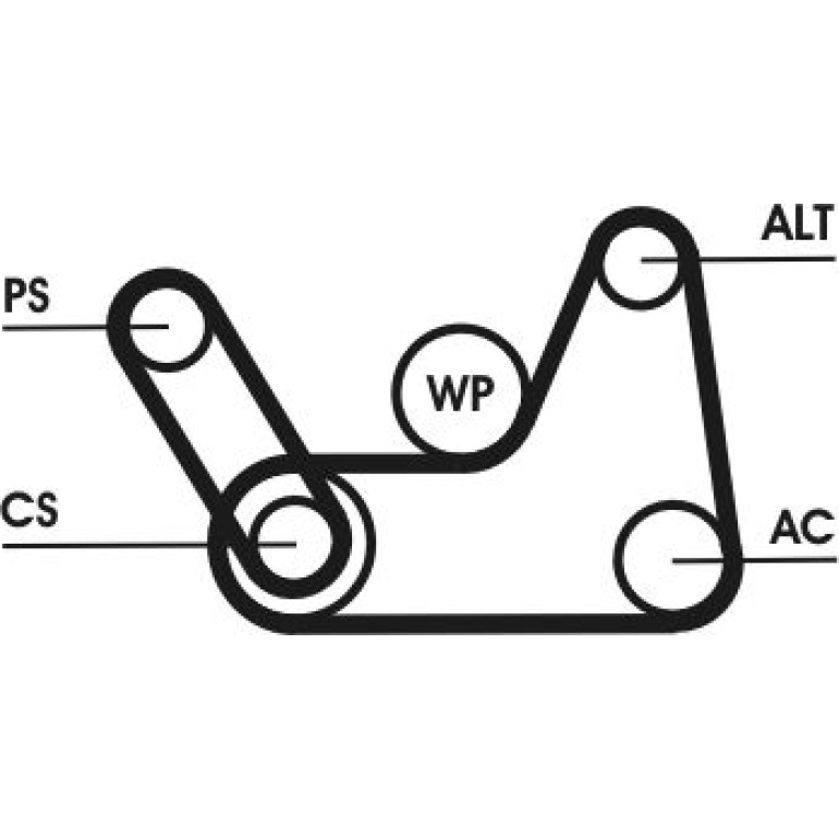 Keilrippenriemensatz 6PK1019 ELAST T1